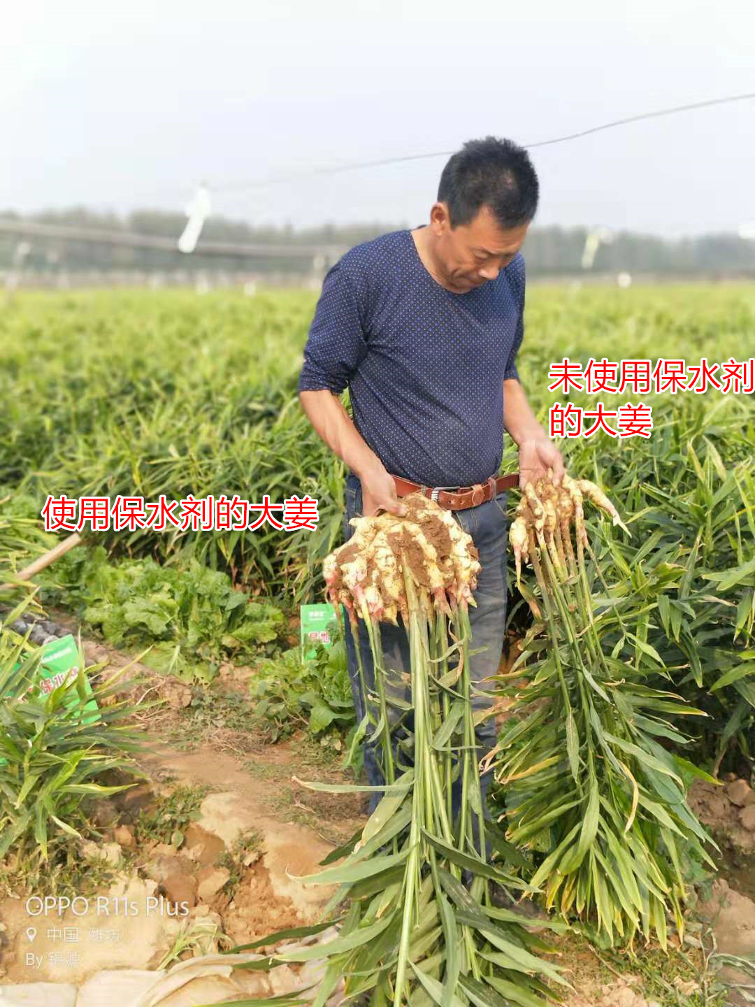 43網易報道2.jpg