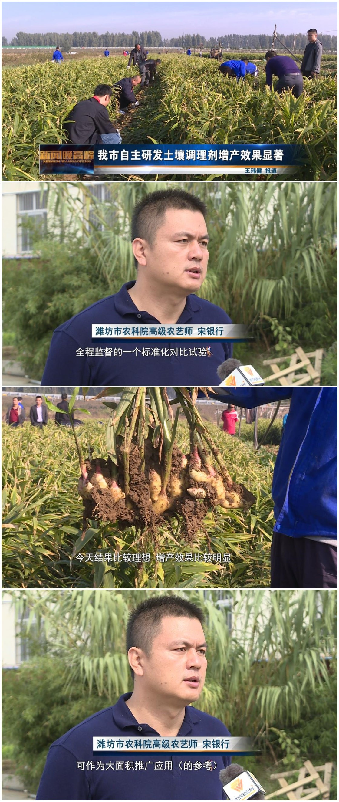 43網易報道濰坊電視臺.jpg